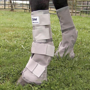 Cashel Crusader Fly Leg Guards On Horse