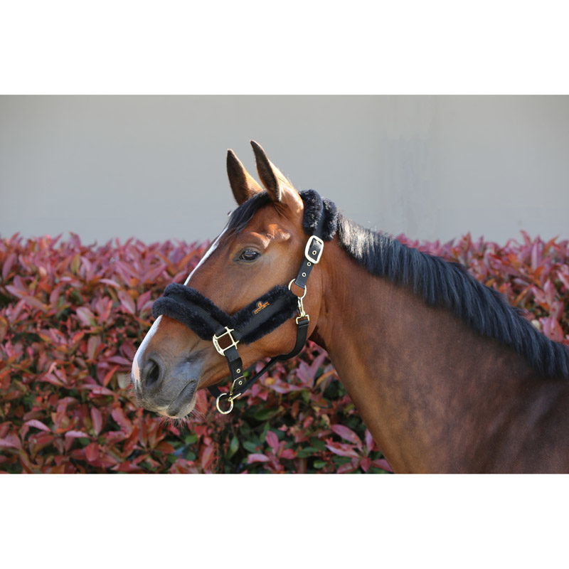 Kentucky Nylon Sheepskin Headcollar - Image 3