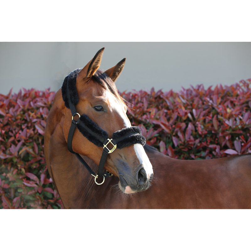 Kentucky Nylon Sheepskin Headcollar - Image 2