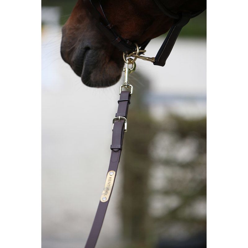 Kentucky Horsewear Presentation Lead Rein - Image 2