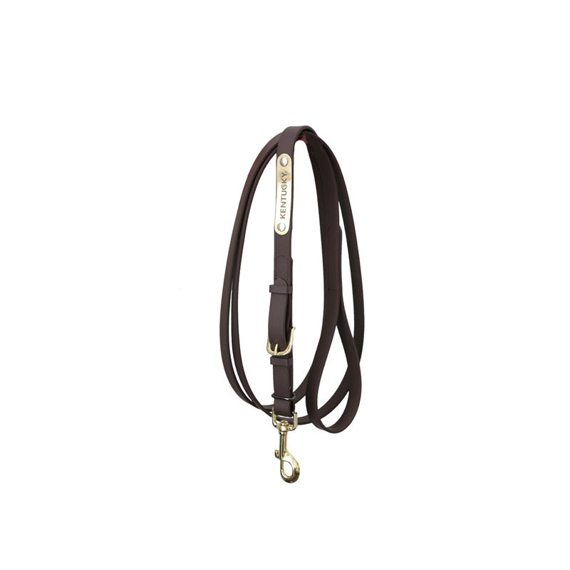 Kentucky Horsewear Presentation Lead Rein - Image 6
