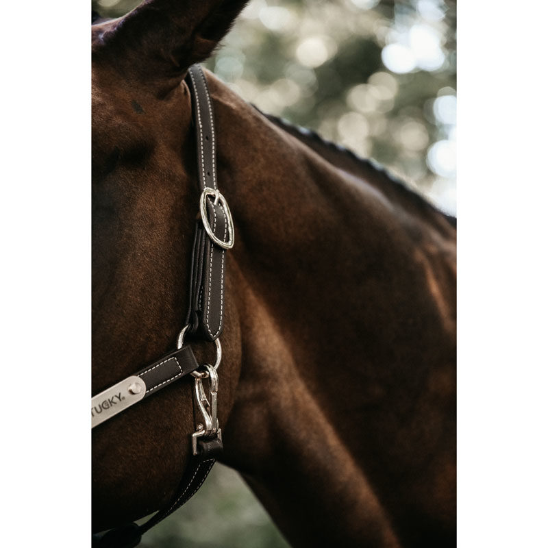 Kentucky Horsewear Flexible Leather Head Collar - Image 3