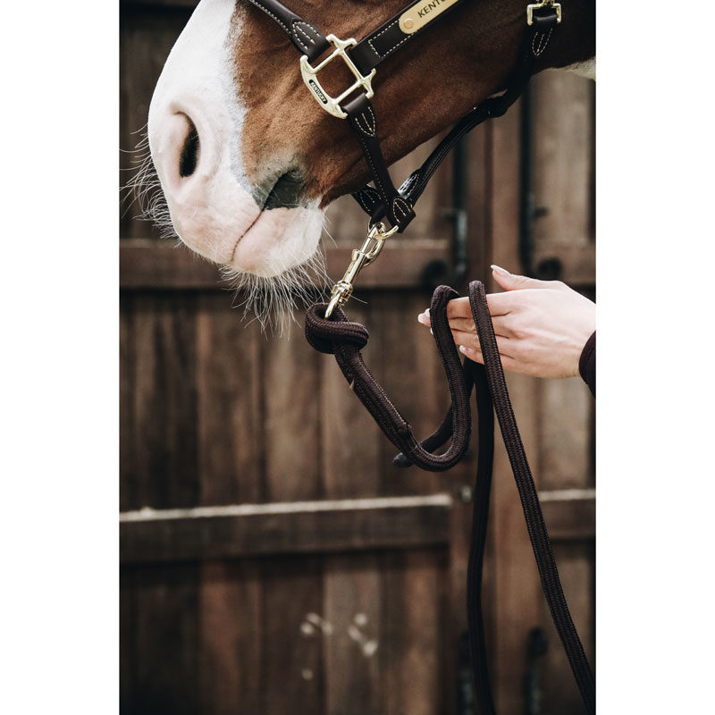 Kentucky Horsewear Lead Rope Loop - Image 3
