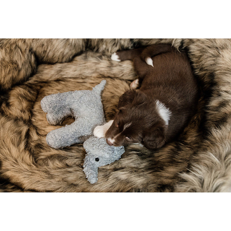 Kentucky Dogwear Dog Toy Elephant - Image 2