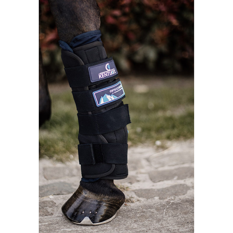 Kentucky Horsewear Cryo Ice Boots - Image 2