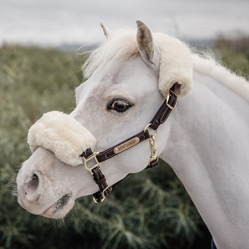 Kentucky Horsewear Leather Halter Sheepskin