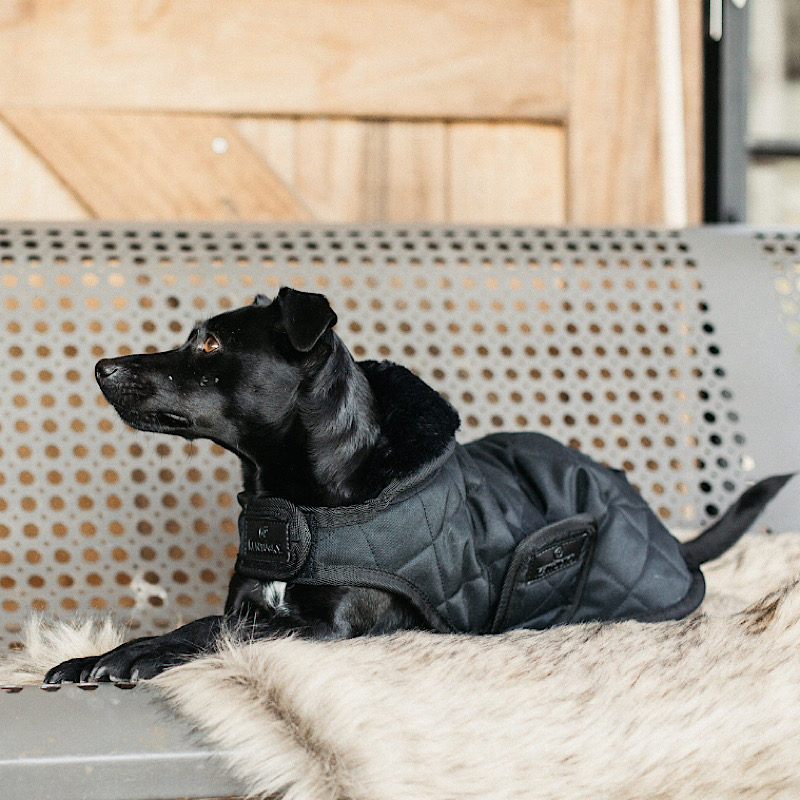 Dog Coat Black 1