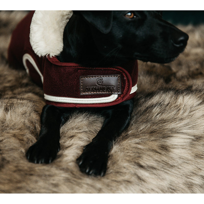 Kentucky Dogwear Heavy Fleece Dog Coat - Image 3