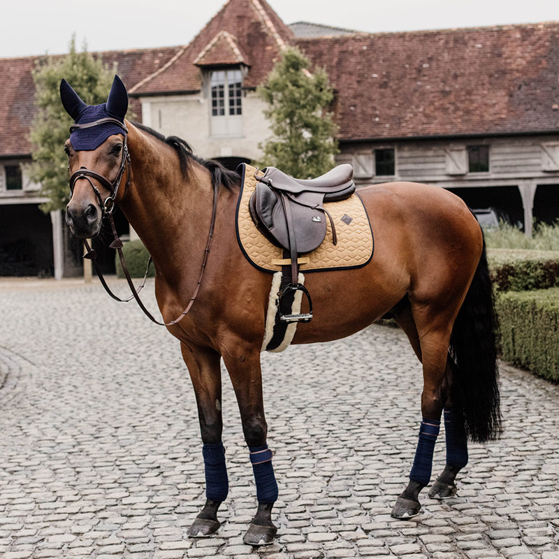 Kentucky Horsewear Softshell Saddle Pad Jumping - Image 4