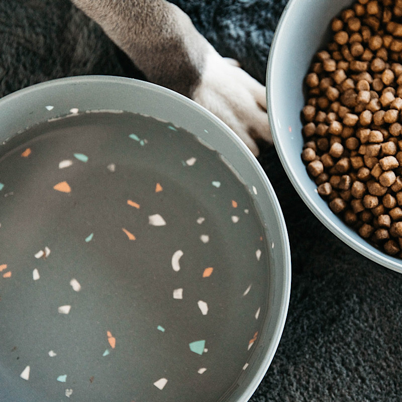 Kentucky Dogwear Terrazzo Dog Bowl - Image 3