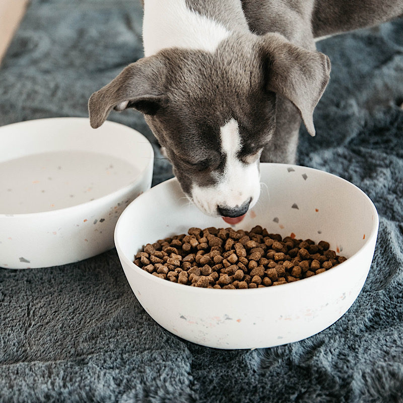 Kentucky Dogwear Terrazzo Dog Bowl - Image 4