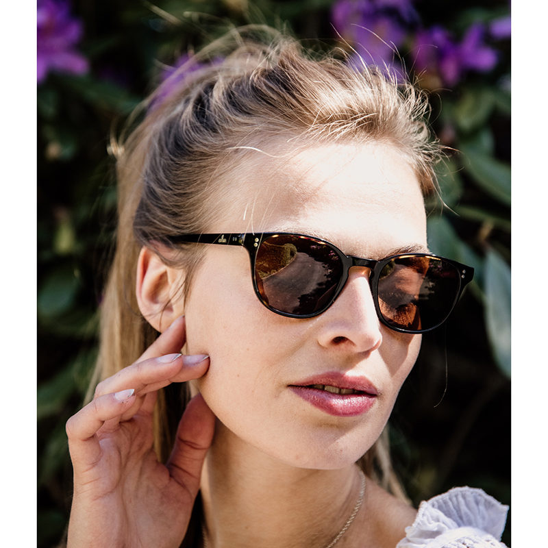 Kentucky Horsewear Sunglasses - Image 4