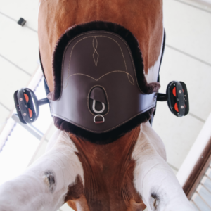 Sheepskin Stud Girth Belly