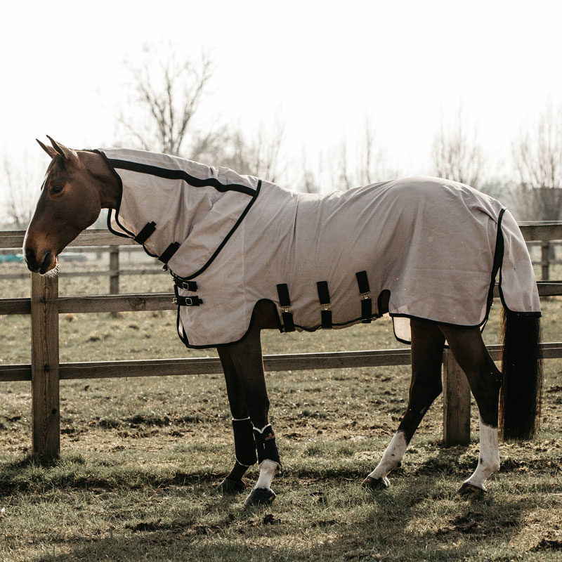 Kentucky Horsewear Mesh Fly Rug - Image 5
