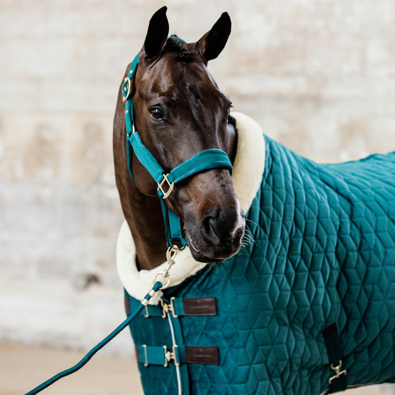 Kentucky Horsewear Velvet Show Rug - Image 8