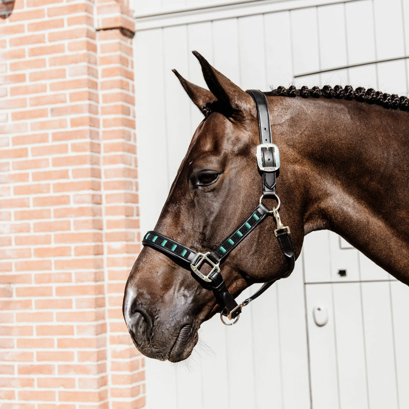 Kentucky Horsewear Pearls Head Collar - Image 2