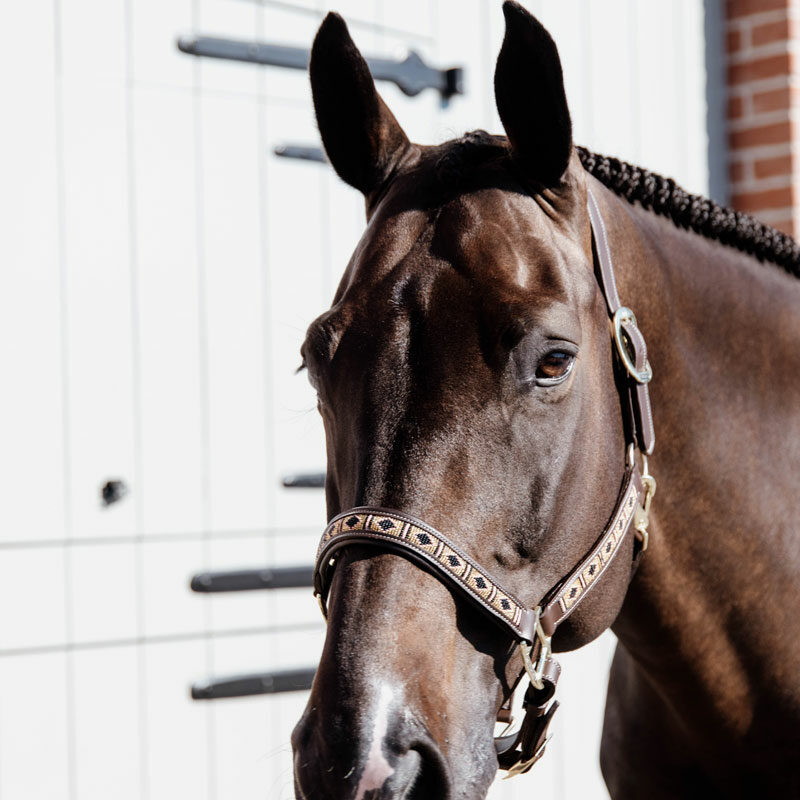 Kentucky Horsewear Pearls Head Collar - Image 4