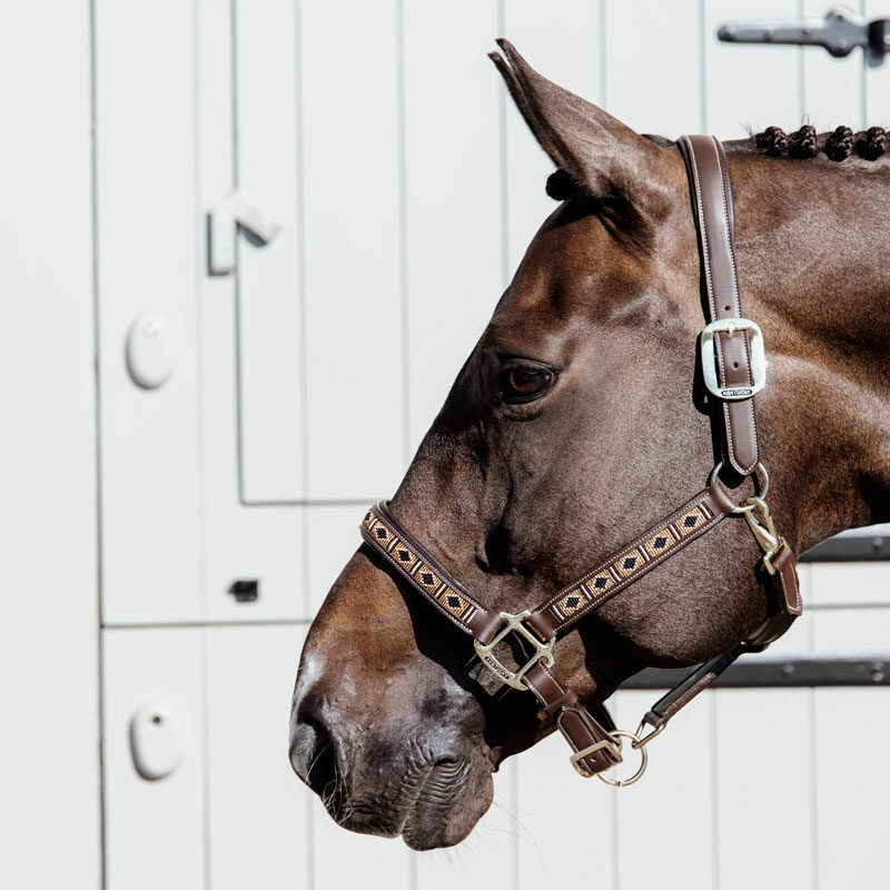 Kentucky Horsewear Pearls Head Collar - Image 5