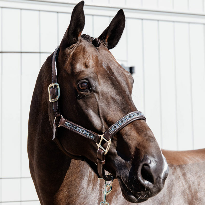 Kentucky Horsewear Pearls Head Collar - Image 7
