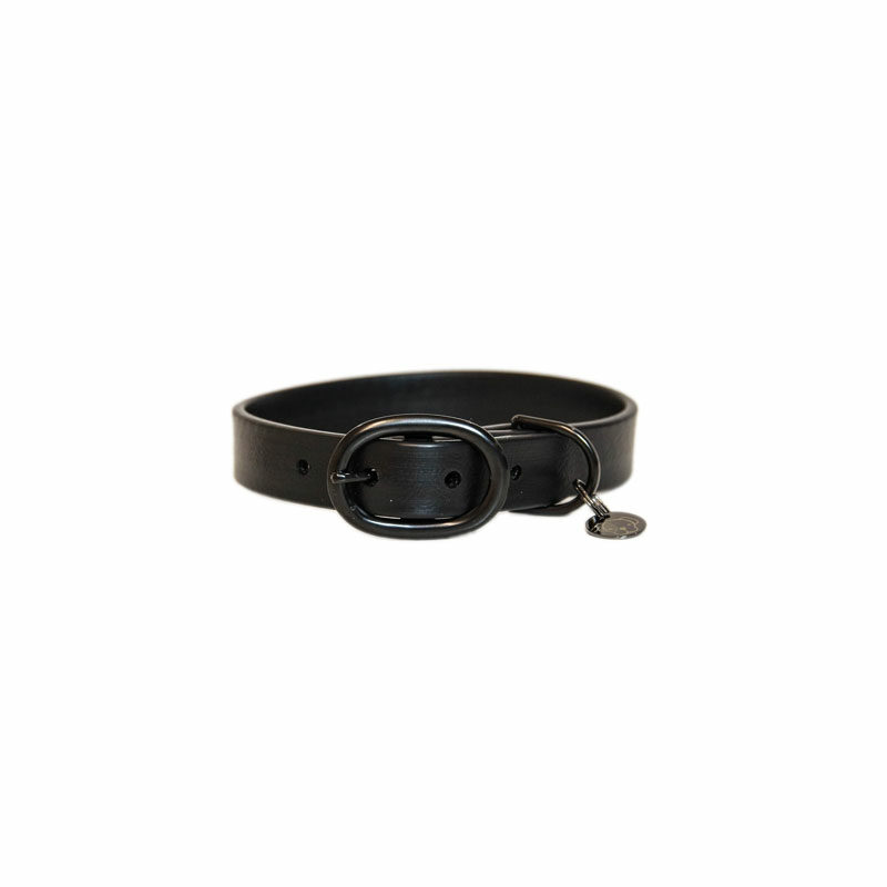 Kentucky Dogwear Rubber Dog Collars - Image 2