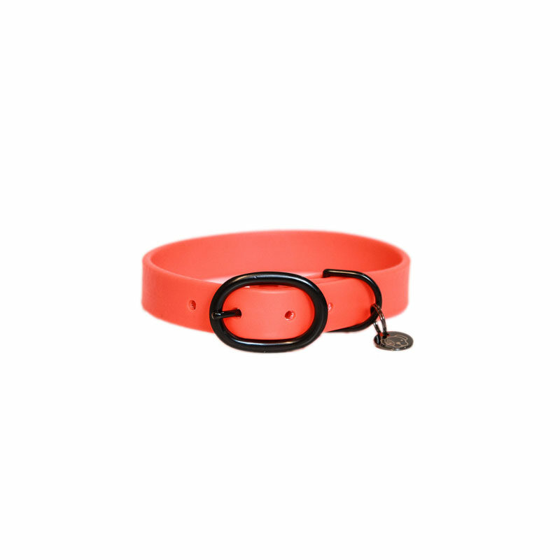 Kentucky Dogwear Rubber Dog Collars - Image 3
