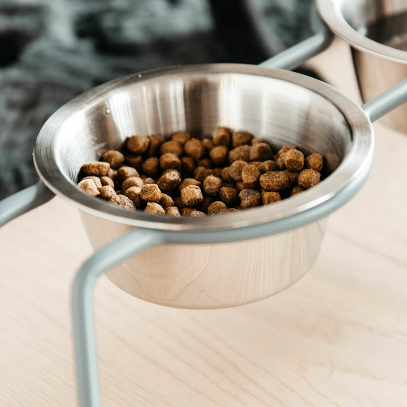 Kentucky Dogwear Dog Bowl Comfort Feeder - Image 6