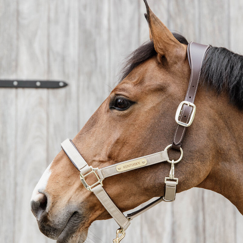 Kentucky Horsewear Anatomic Nylon Head Collar - Image 3