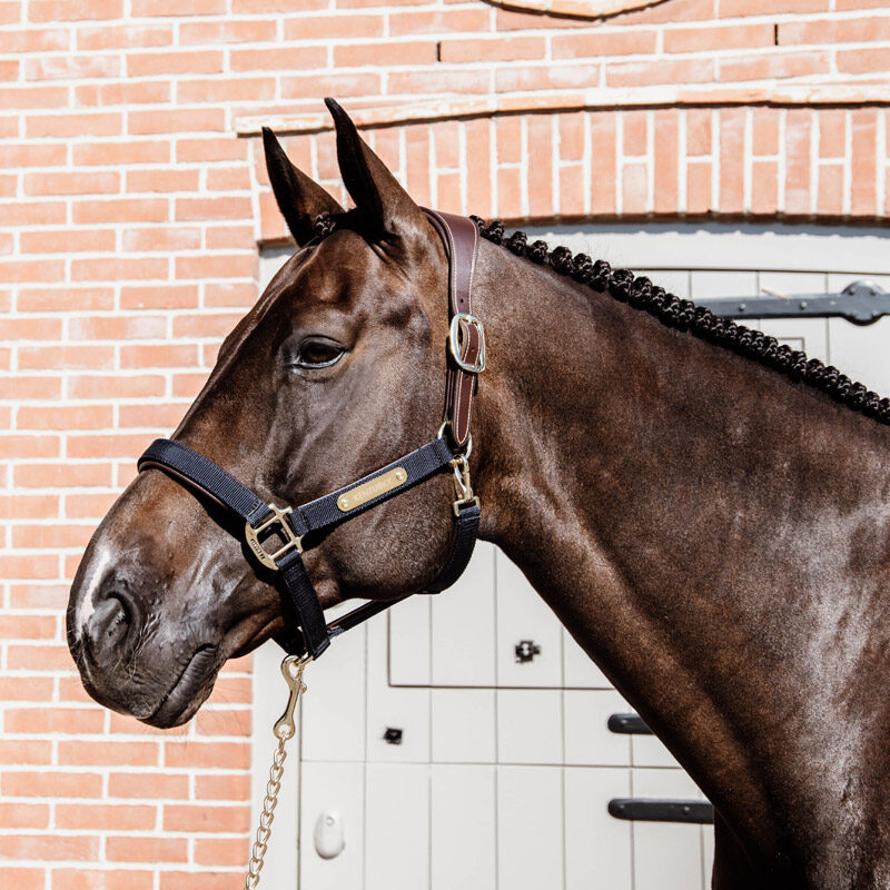 Kentucky Horsewear Anatomic Nylon Head Collar - Image 2