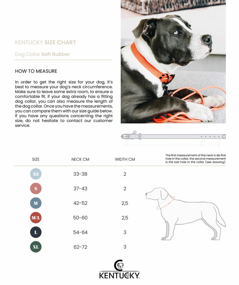 Kentucky Dogwear Rubber Dog Collars - Image 4