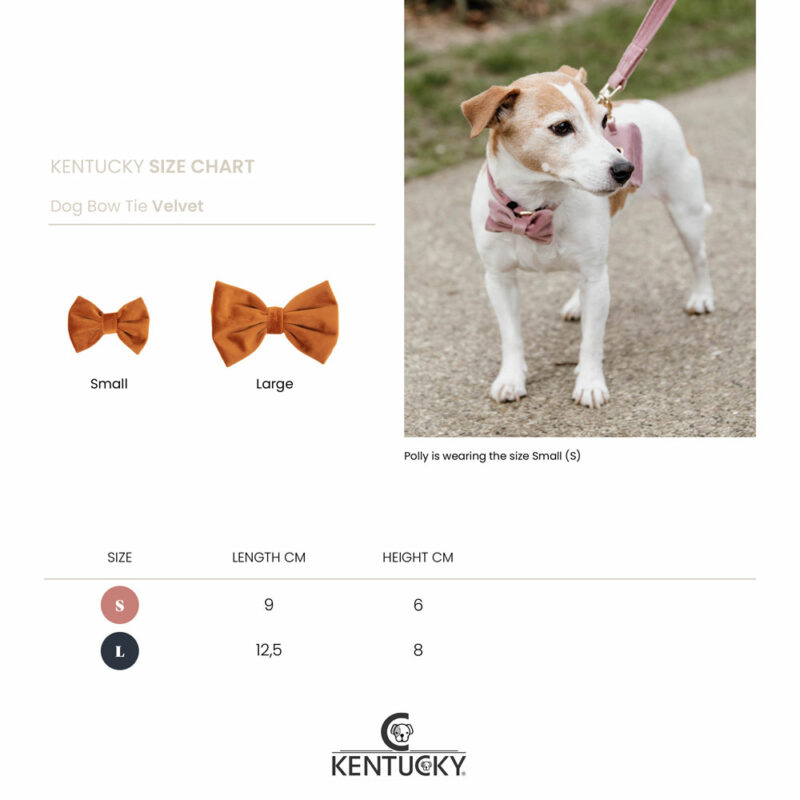 Kentucky Dogwear Velvet Dog Bow Tie - Image 9