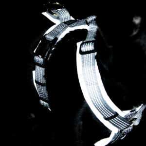 Kentucky Dogwear Reflective Dog Harness 1