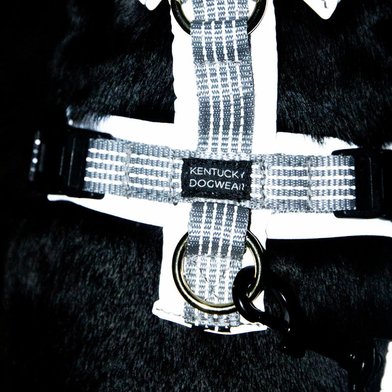 Kentucky Dogwear Reflective Dog Harness 2