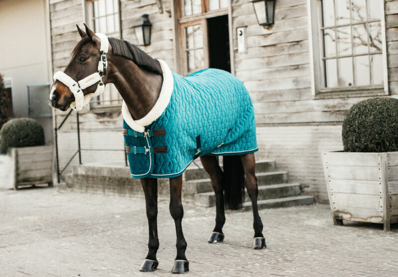 Velvet Show Rug Emerald Banner.jpg