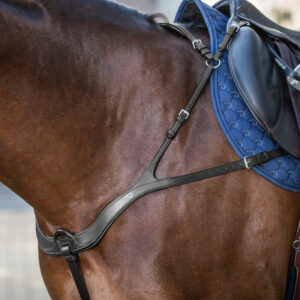 Dy’on New English Collection Anatomic Breastplate Black 2