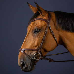 Dy'on New English Collection X Fit Anatomic Bridle Brown 1