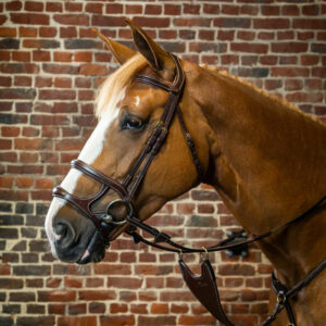 Dy'on-Double-Noseband-Bridle
