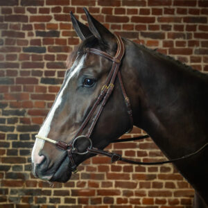 Dy'on-Rope-Drop-Bridle