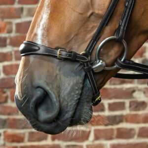 Dyon-Adjustable-Drop-Noseband-ONLY-Black-1