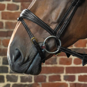 Dyon-Anatomic-Noseband-Only-Black-1