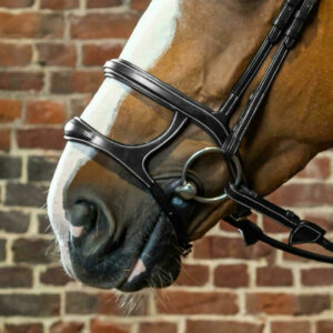 Dyon-Double-Noseband-2