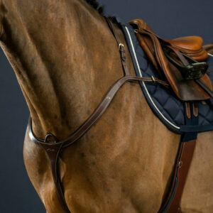 Dy’on Collection Long Bridge Breastplate