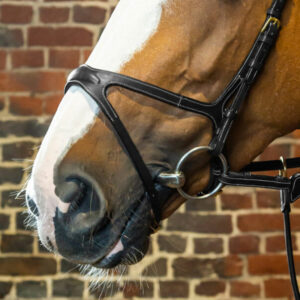 Dyon-X-Fit-Noseband-ONLY-Black-1