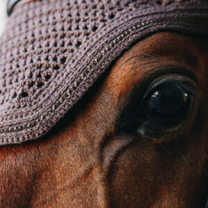 Fly-Veil-Sparkle-6