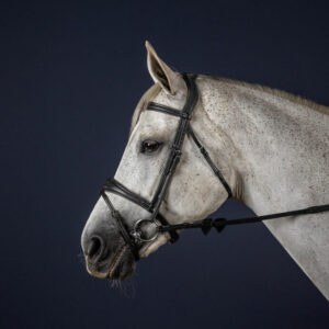 Anatomic-Bridle-Black-1