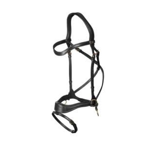 Dy'on D Motion Bridle Black