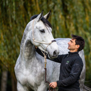 Dy'on Training Head Collar Horse