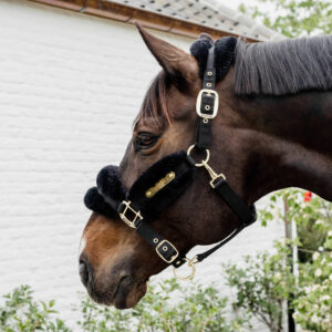 Nylon Sheepskin Halter Soft