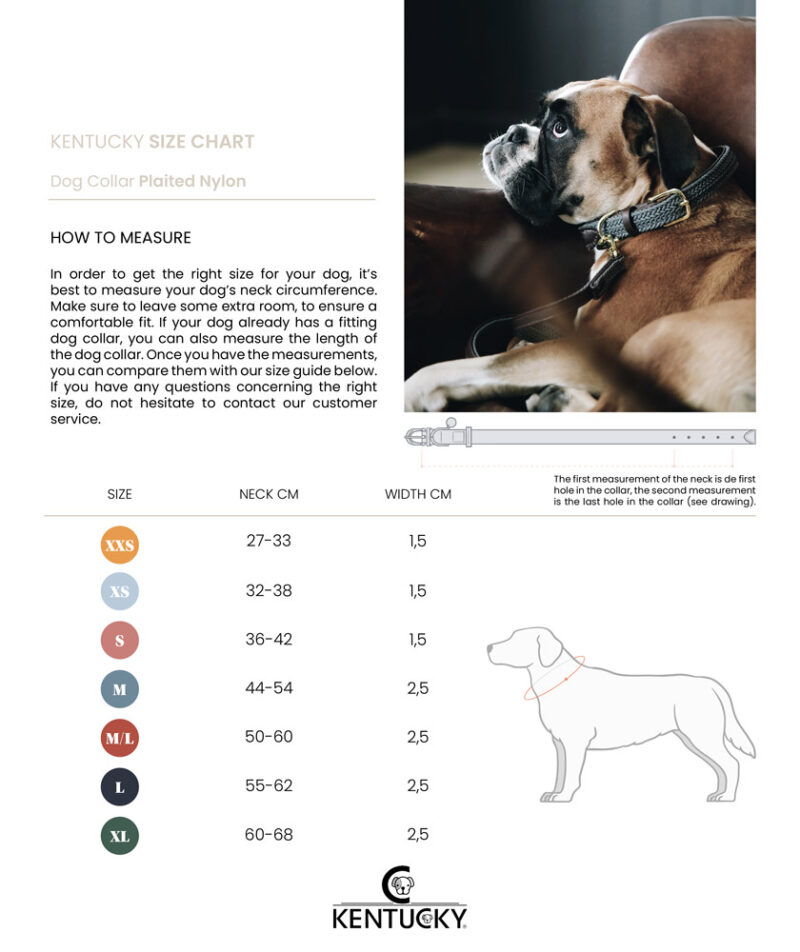 Kentucky Dogwear Plaited Dog Collar - Image 14