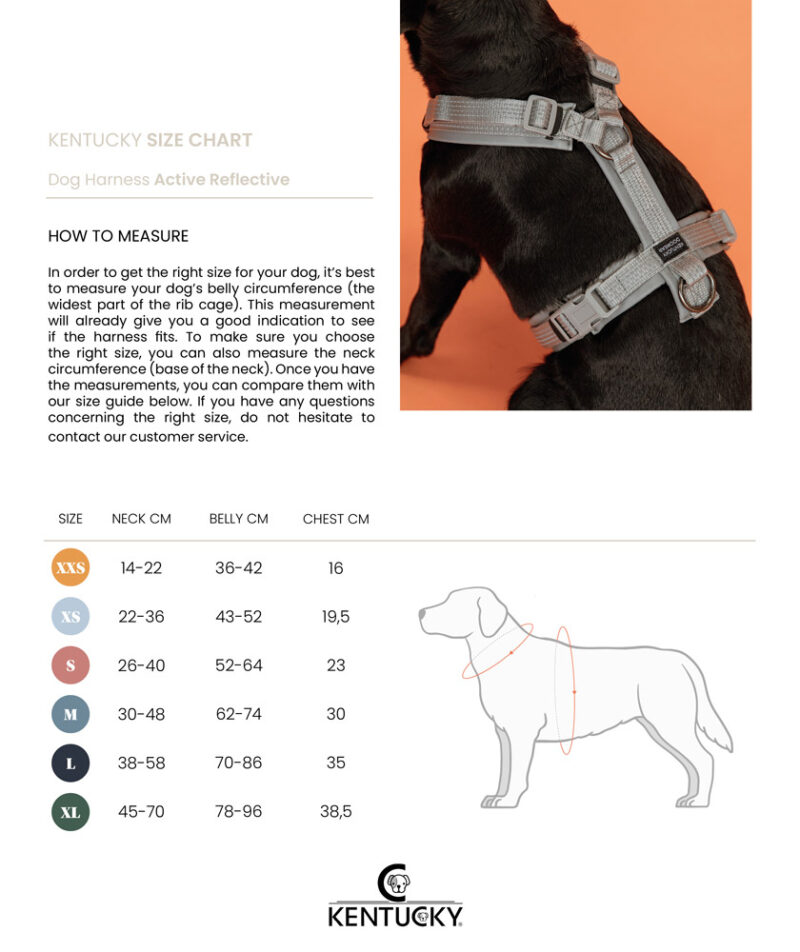 Kentucky Dogwear Reflective Dog Harness - Image 8