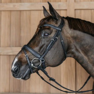 Dy'on New English Plaited Flash Noseband Bridle with Pull Back